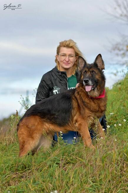 Koka - w typie Długowłosy owczarek niemiecki; wesoła