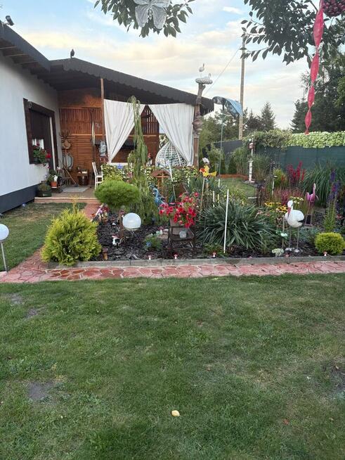 Dzialka ROD w Skierniewicach