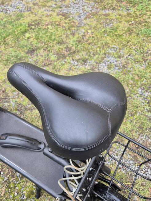 Hulajnoga elektryczna z siodełkiem W-TEC Billar II 500W