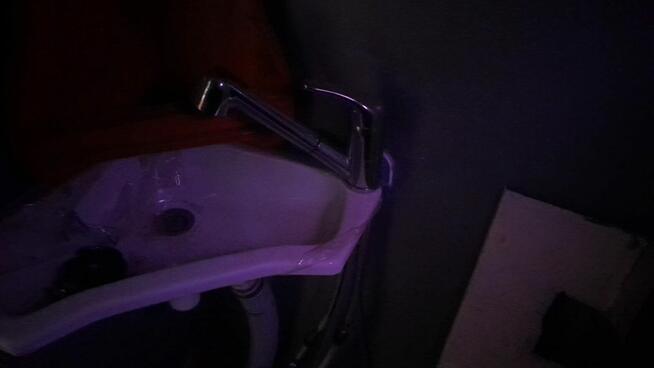 Housebat/Hausbot – 9 osób – zarejestrowany