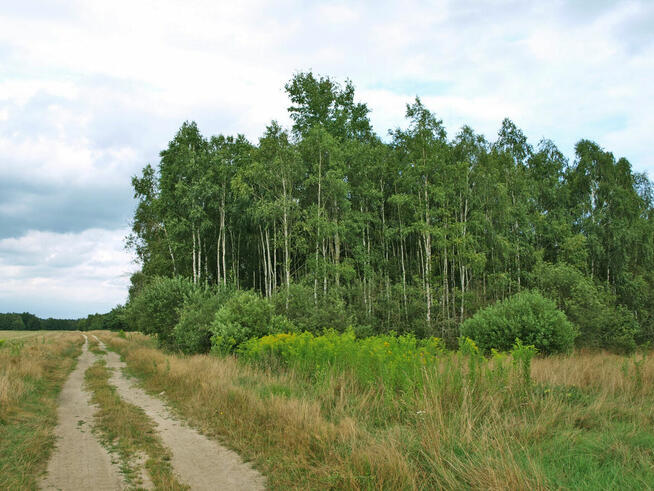 DĘBOWA OSTOJA piękne działki budowlane w Urzutach! dz. 3