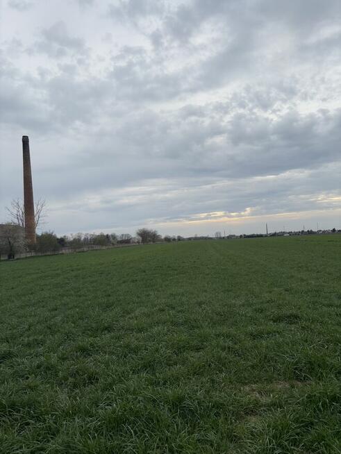 Sprzedam dom z działką 2 hektary