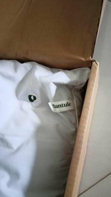 Poduszka Plantule Pillows 60x45 łuska gryki bawełna nowa