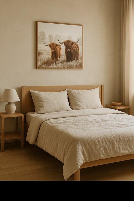 Obraz – Szkockie krowy Highland Cattle duży format 58x78cm