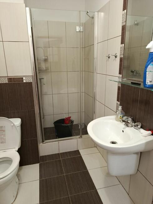 Mieszkanie do wynajecia