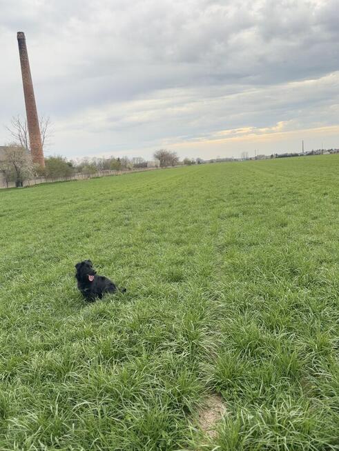 Sprzedam dom z działką 2 hektary