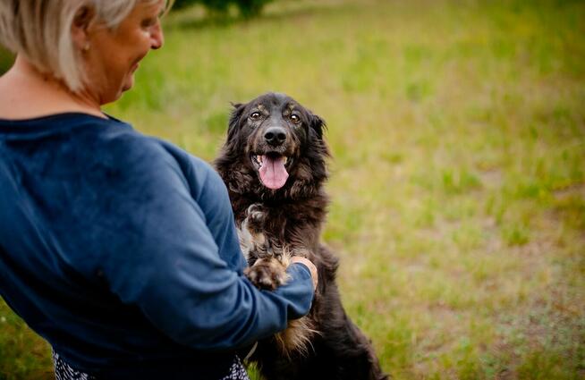 Roki - domowy, młody, przyjazny psiak!