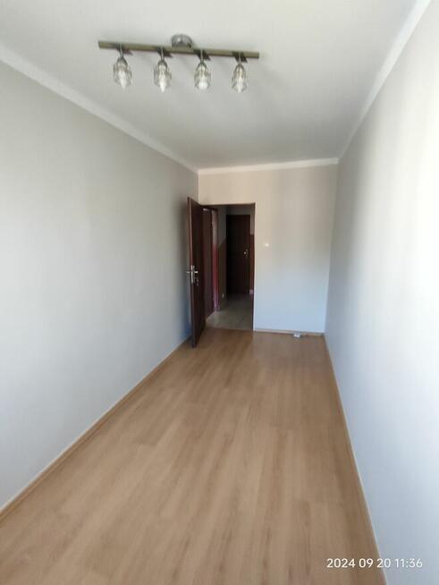 Mieszkanie do wynajęcia