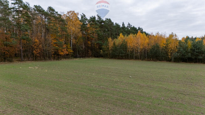 Działka pod lasem Załuski