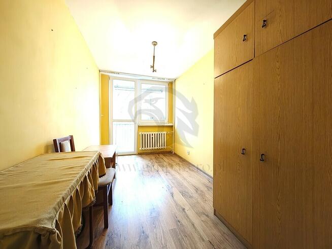 Uwaga! Tu skaczą Gumisie nie lokatorzy