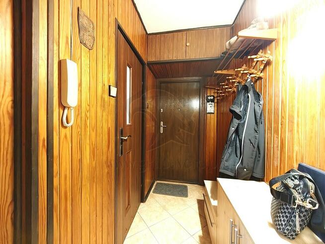 Uwaga! Tu skaczą Gumisie nie lokatorzy