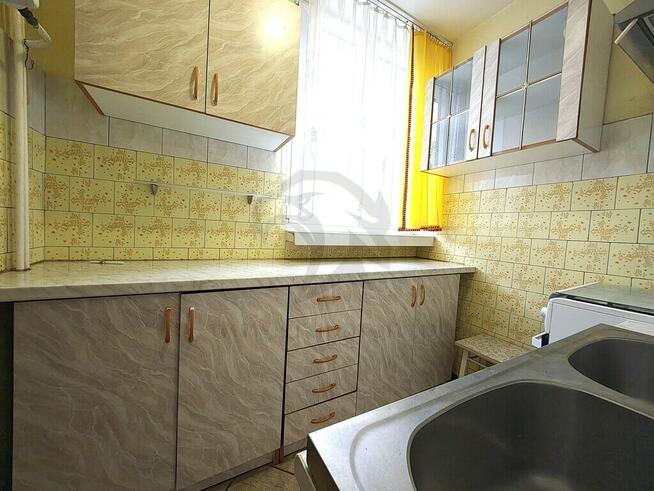 Uwaga! Tu skaczą Gumisie nie lokatorzy