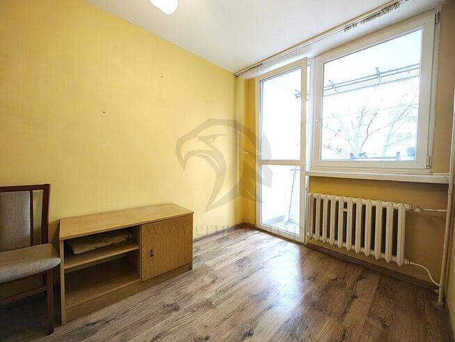 Uwaga! Tu skaczą Gumisie nie lokatorzy