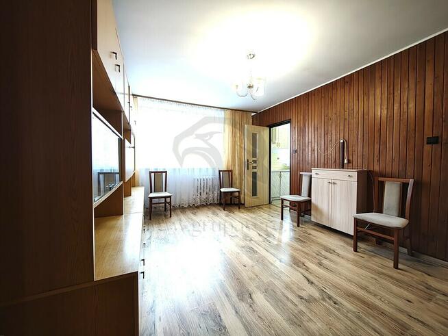 Uwaga! Tu skaczą Gumisie nie lokatorzy