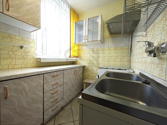 Uwaga! Tu skaczą Gumisie nie lokatorzy