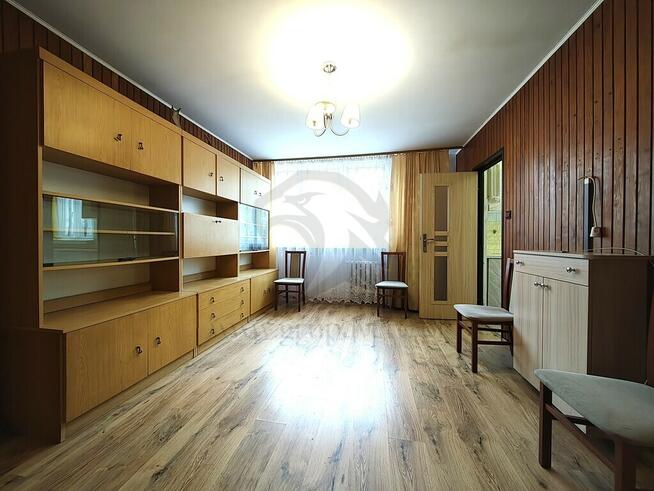 Uwaga! Tu skaczą Gumisie nie lokatorzy