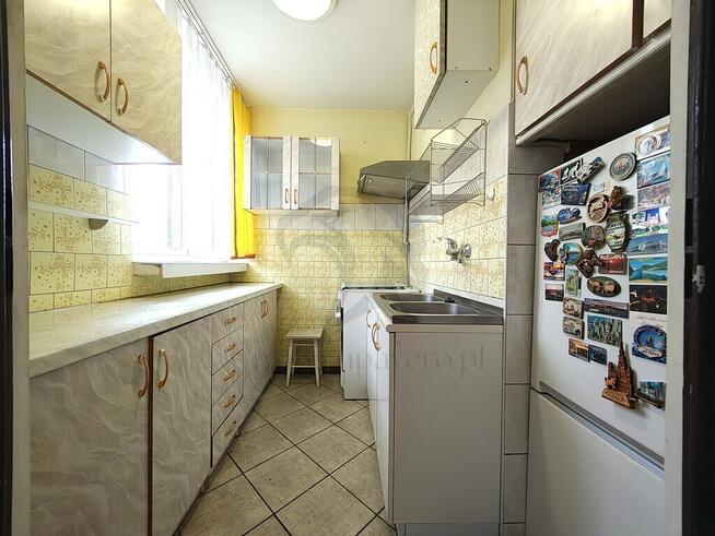 Uwaga! Tu skaczą Gumisie nie lokatorzy