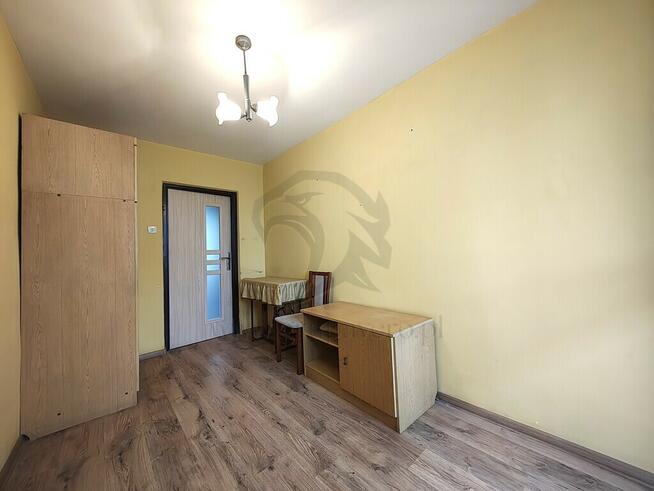 Uwaga! Tu skaczą Gumisie nie lokatorzy