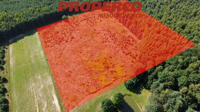 Działka Bogoria-Kolonia gm. Bogoria