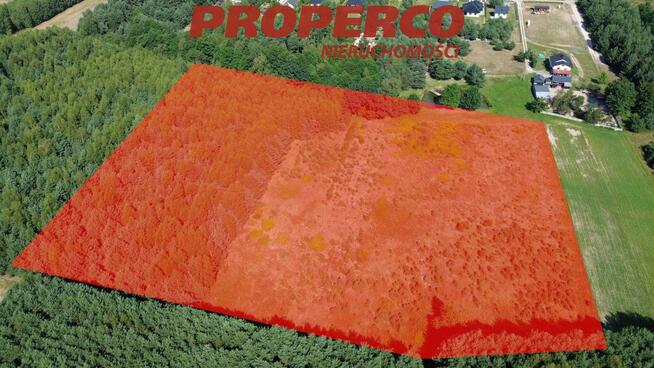 Działka Bogoria-Kolonia gm. Bogoria