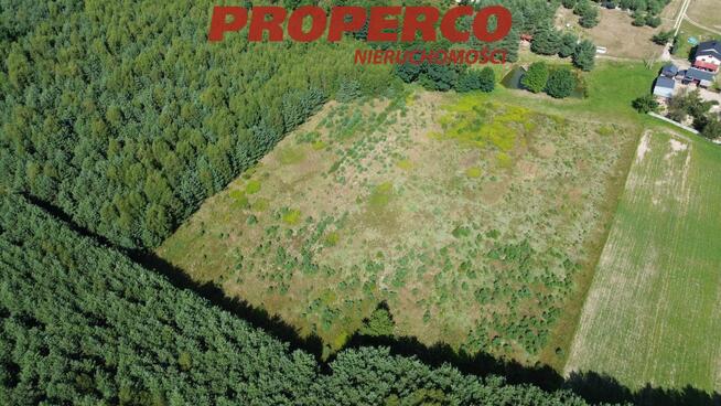 Działka Bogoria-Kolonia gm. Bogoria