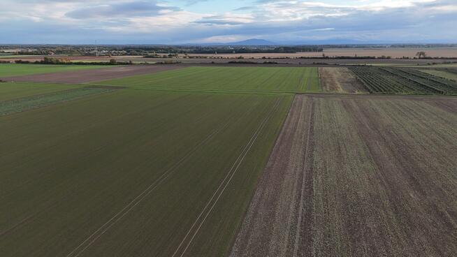 Atrakcyjne działki budowlane w Lutyni