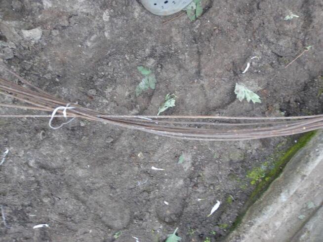 Drut pręt metalowy grubość 6mm pręty metalowe konstrukcyjne