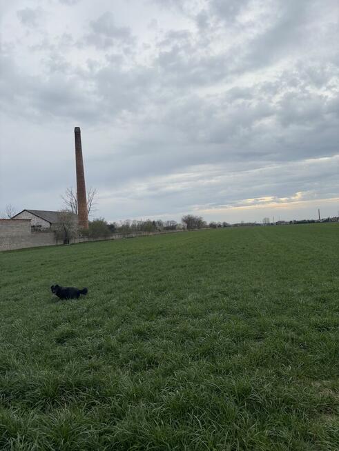 Sprzedam dom z działką 2 hektary