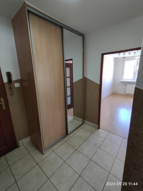 Mieszkanie do wynajęcia