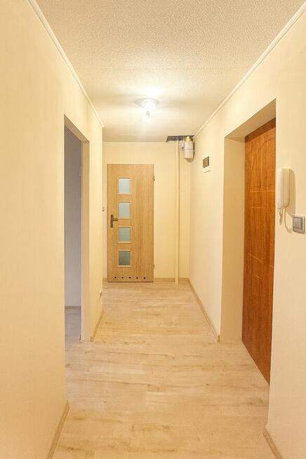 Jasne 2-pokojowe • Cegła • Po remoncie instalacji • Kraśnik