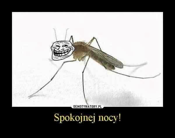 Hej Poznam Dziewczynę