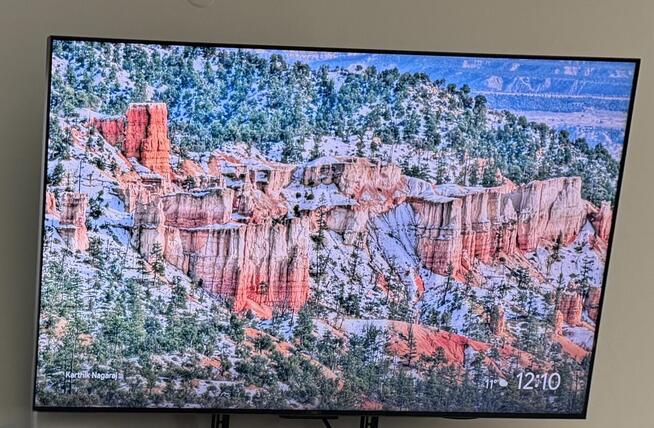 Telewizor TCL 65C845 miniled