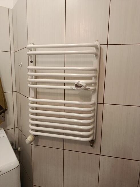 Mieszkanie do wynajecia