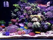 KROŚCIENKO_HACCP ISO 22000