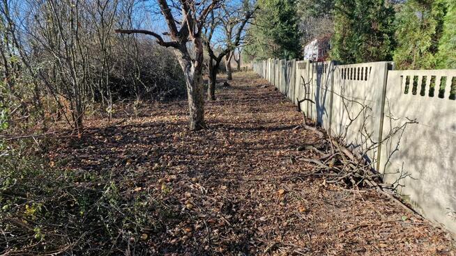 Rokitno Szlacheckie działka budowlana spokojne miejsce