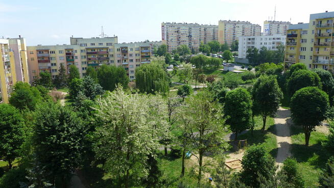 Mieszkanie - 2 pokoje - 6 piętro - balkon - winda - Dobrzec