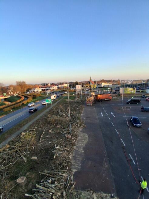 Wycinka Drzew • Czyszczenie Lasów i Działek • Szybkie Termin