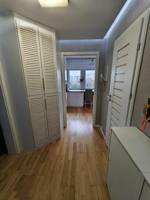 Kawalerka na wynajem w idealnej lokalizacji