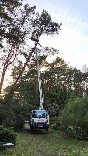 Podnośnik koszowy, zwyżka, reklamy, dekoracje, przycinka