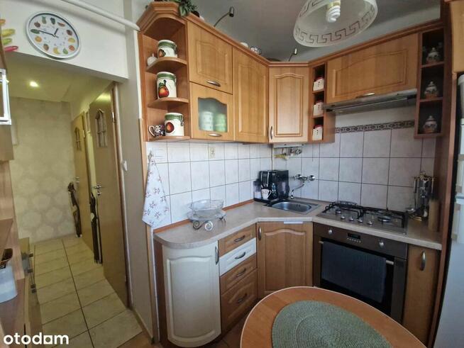 3 pokoje Stary Kraśnik od zaraz