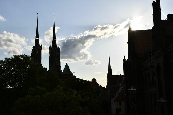 Do wynajęcia przytulny pokój w mieszkaniu 3pok, obok katedry
