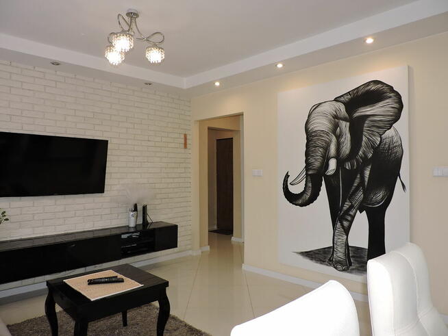 Borki, ul. 1905 Roku, M3, 43.81 m2, balkon.