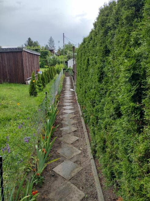 Działka ROD z domkiem 2025 – Aleksandrów