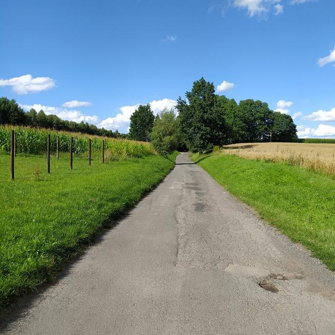Działka budowlana w cichym miejscu Wodzisławia Śląskiego