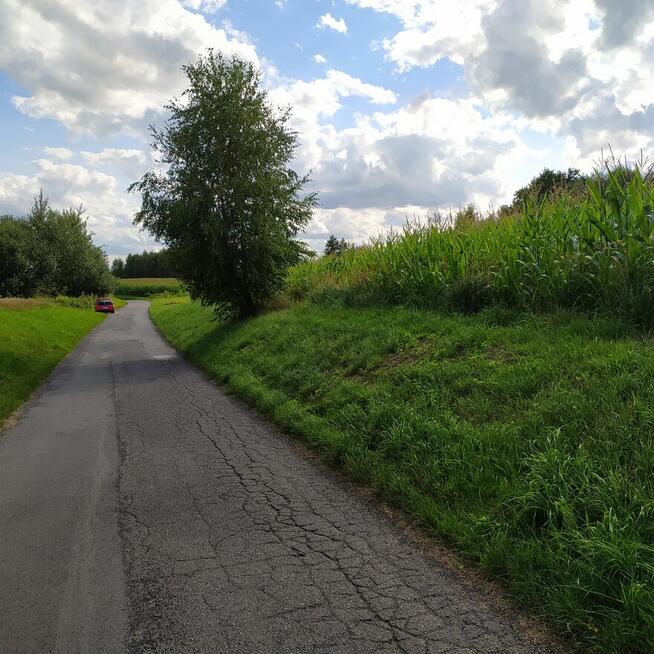 Działka budowlana w cichym miejscu Wodzisławia Śląskiego