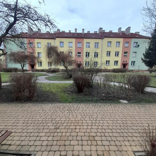 mieszkanie starachowice reja