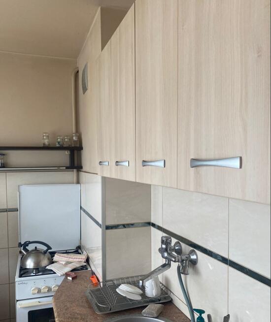 Teofilów - Wici - 45 m2 - rozkładowe - do remontu