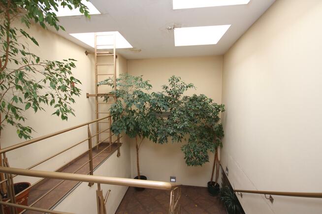 Lokal użytkowy Świdnica, Centrum