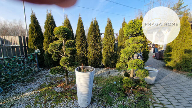 Dom Sulejówek Ratajewo, Bagno