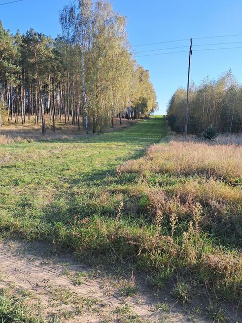 Działka rolno-budowlana Strzelczyki gm. Szamocin